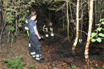 Prio 1 Berm Ruigte Brand Poelepaad Buitenpost